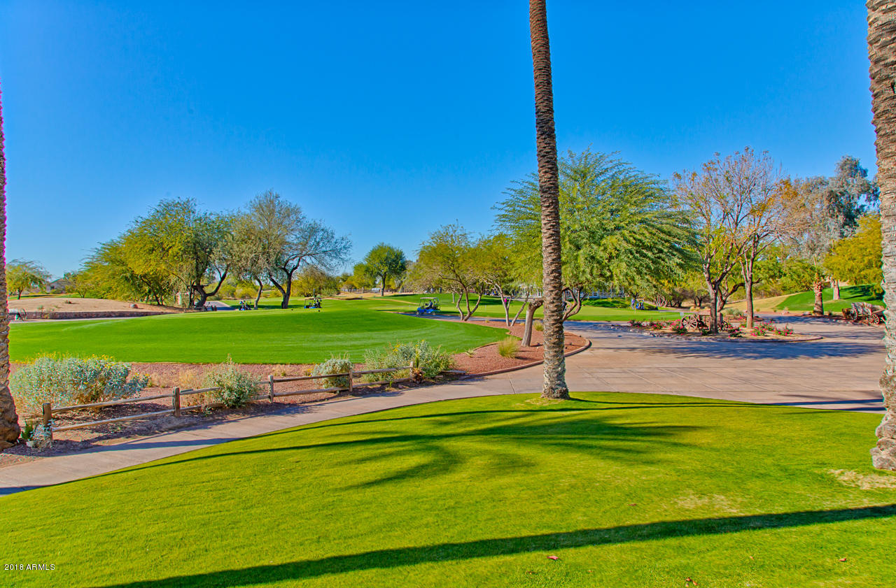 2704 East Fremont Road Phoenix, AZ 85042 - Photo 33 of 35 RCP_8218_HDR-websized