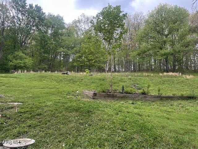 1788 Carson Valley Road Duncansville, PA 16635 - Photo 13 of 17