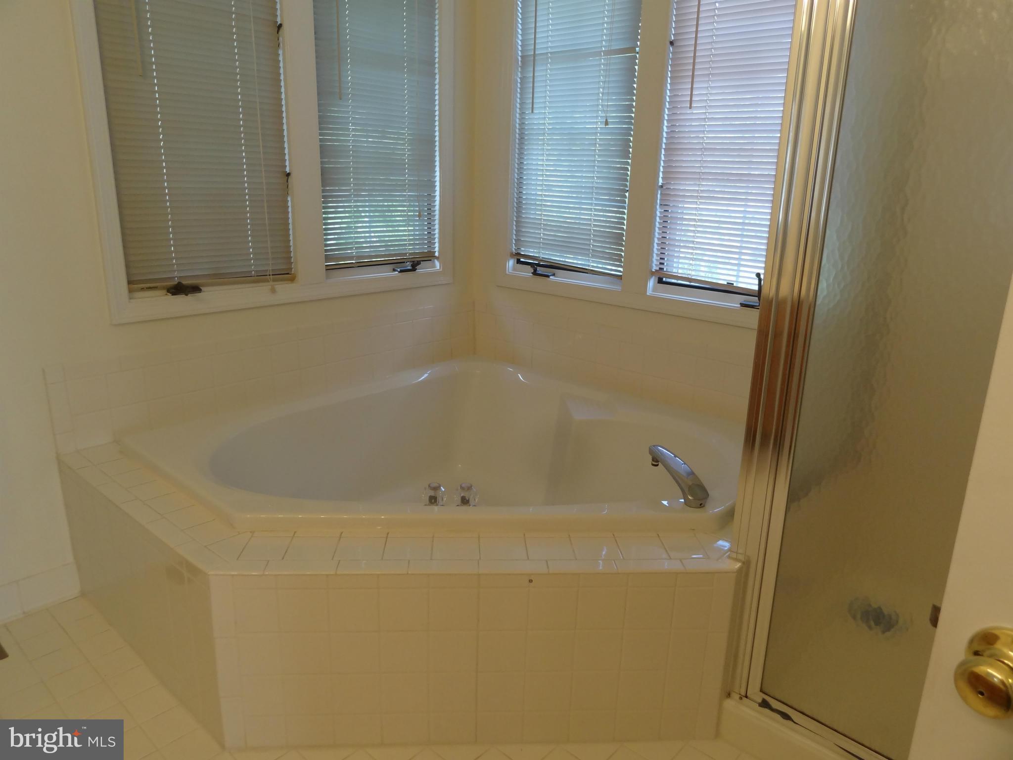 8120 Craddock Road Greenbelt, MD 20770 - Photo 15 of 24 Bath (Master)
