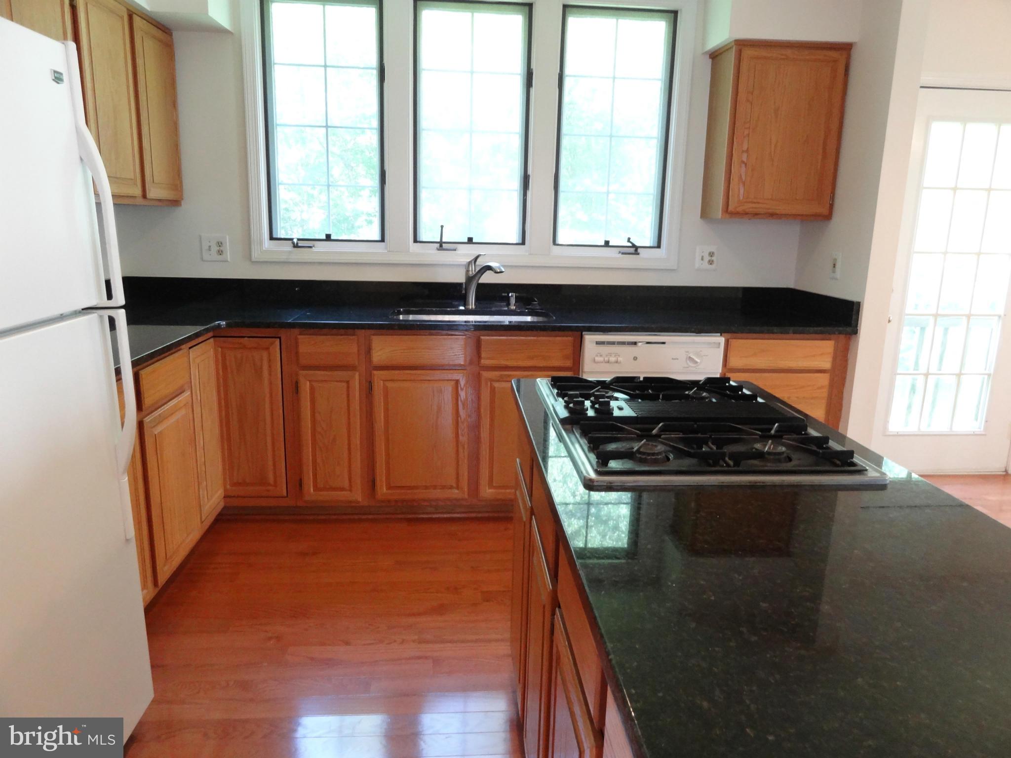 8120 Craddock Road Greenbelt, MD 20770 - Photo 9 of 24 Kitchen