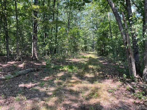 $165,000 | 30-acres Elk Head Road, Bland, MO 65014