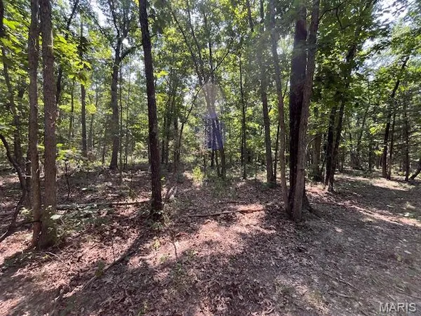 $165,000 | 30-acres Elk Head Road, Bland, MO 65014