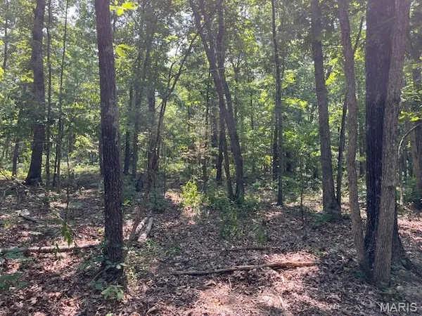 $165,000 | 30-acres Elk Head Road, Bland, MO 65014