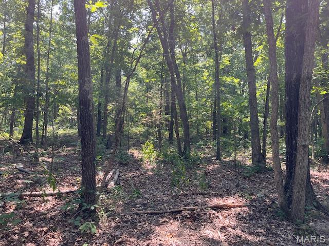 30-acres Elk Head Road Bland, MO 65014 - Photo 4 of 11