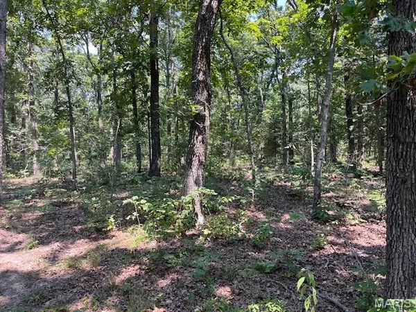 $165,000 | 30-acres Elk Head Road, Bland, MO 65014