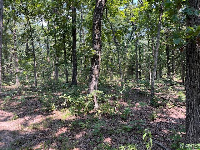 30-acres Elk Head Road Bland, MO 65014 - Photo 6 of 11