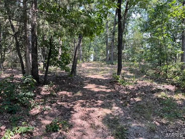 $165,000 | 30-acres Elk Head Road, Bland, MO 65014