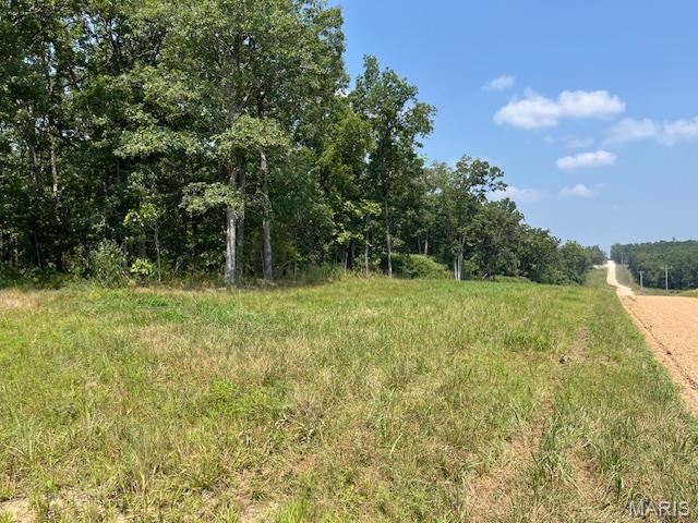 30-acres Elk Head Road Bland, MO 65014 - Photo 9 of 11