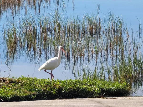 $3,000 | 4829 Summit View Way, Auburndale, FL 33823