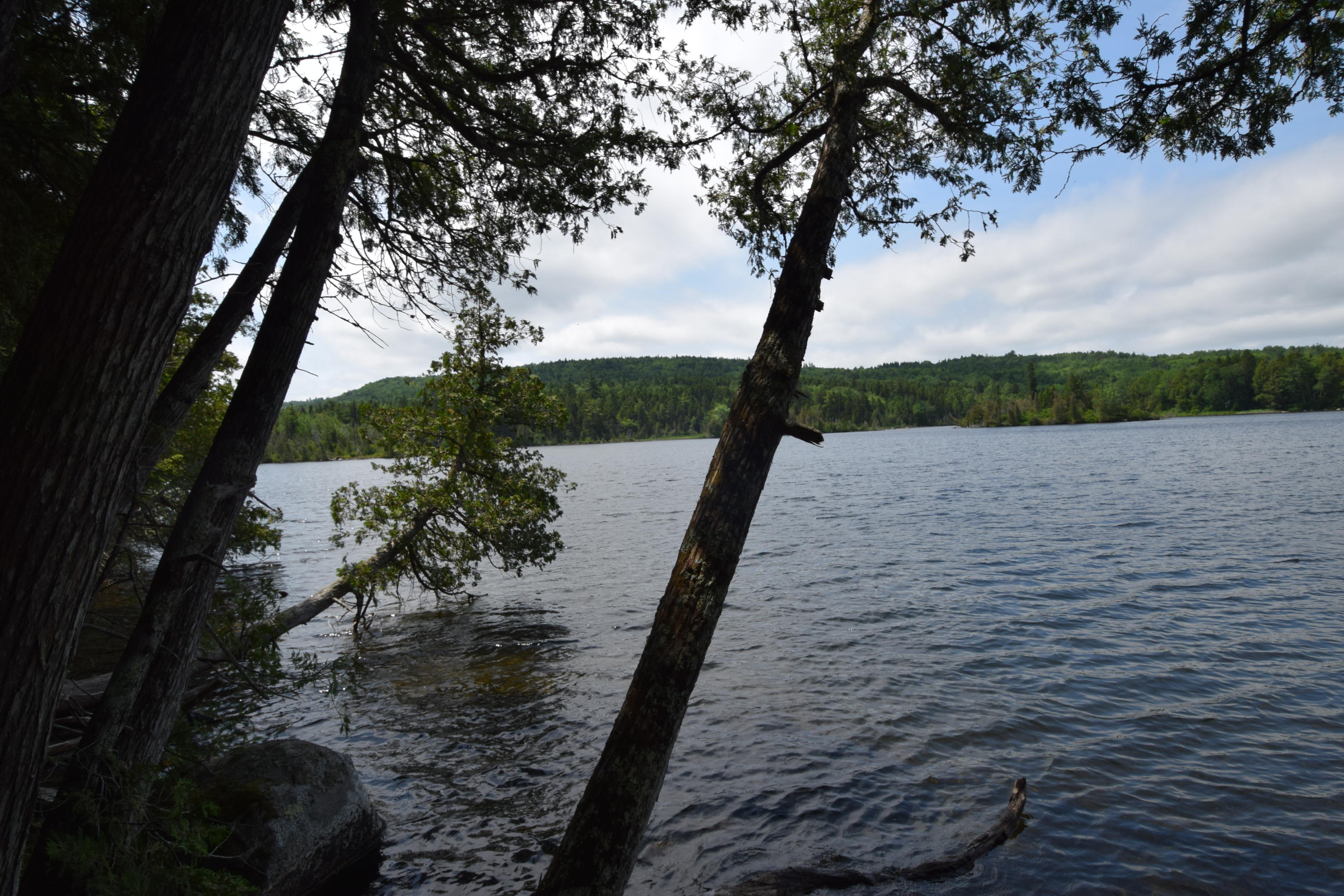 0 Chadwick Pt Road Weston, ME 04424 - Photo 18 of 20 Peaceful East Grand Lake...