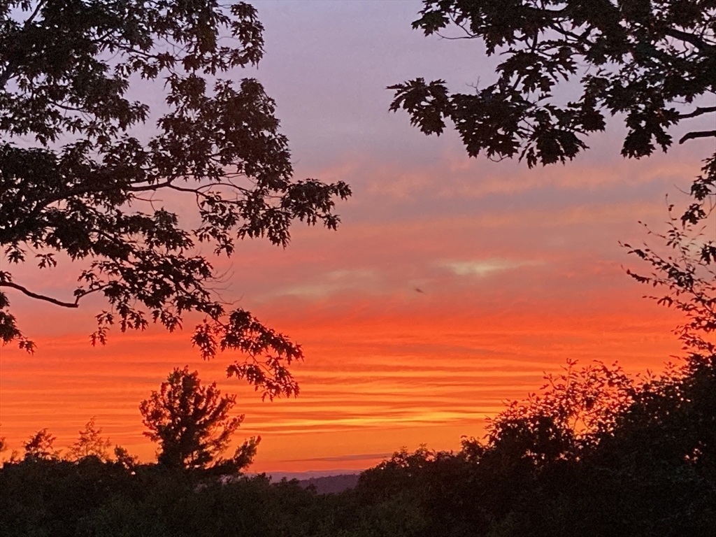 17 Deer Run Wayland, MA 01778 - Photo 13 of 42 a view of sunset