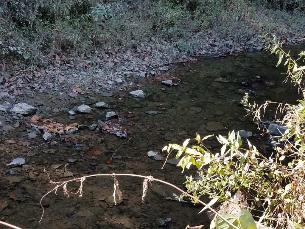 3643 Roberts Road Sneedville, TN 37869 - Photo 11 of 36 CREEK