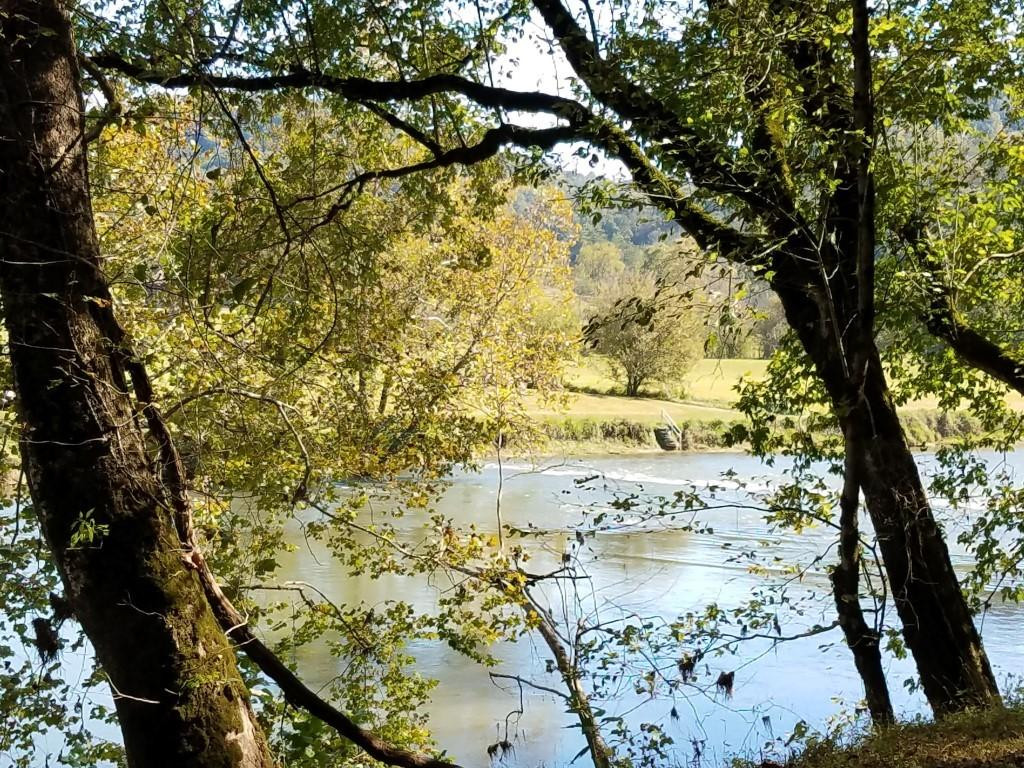 3643 Roberts Road Sneedville, TN 37869 - Photo 16 of 36 RIVER