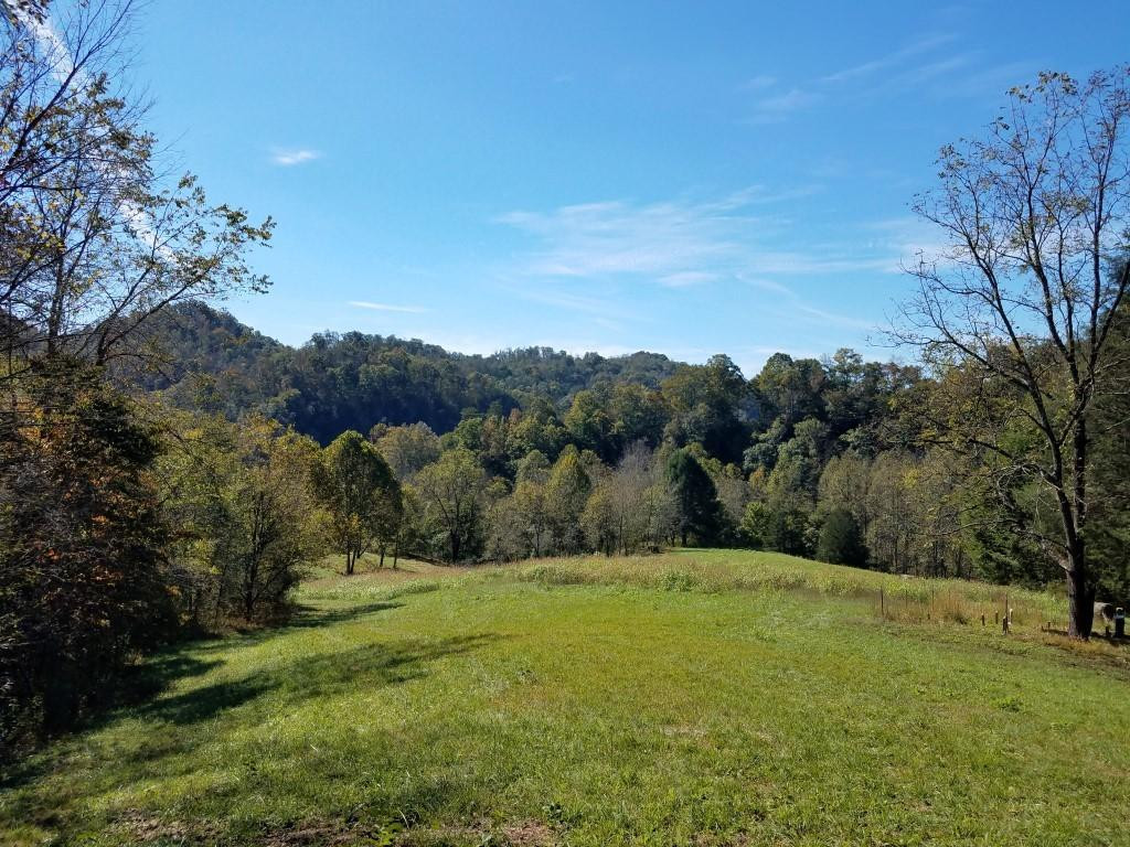 3643 Roberts Road Sneedville, TN 37869 - Photo 7 of 36 Photo 7