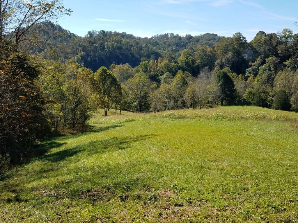 3643 Roberts Road Sneedville, TN 37869 - Photo 8 of 36 Photo 8