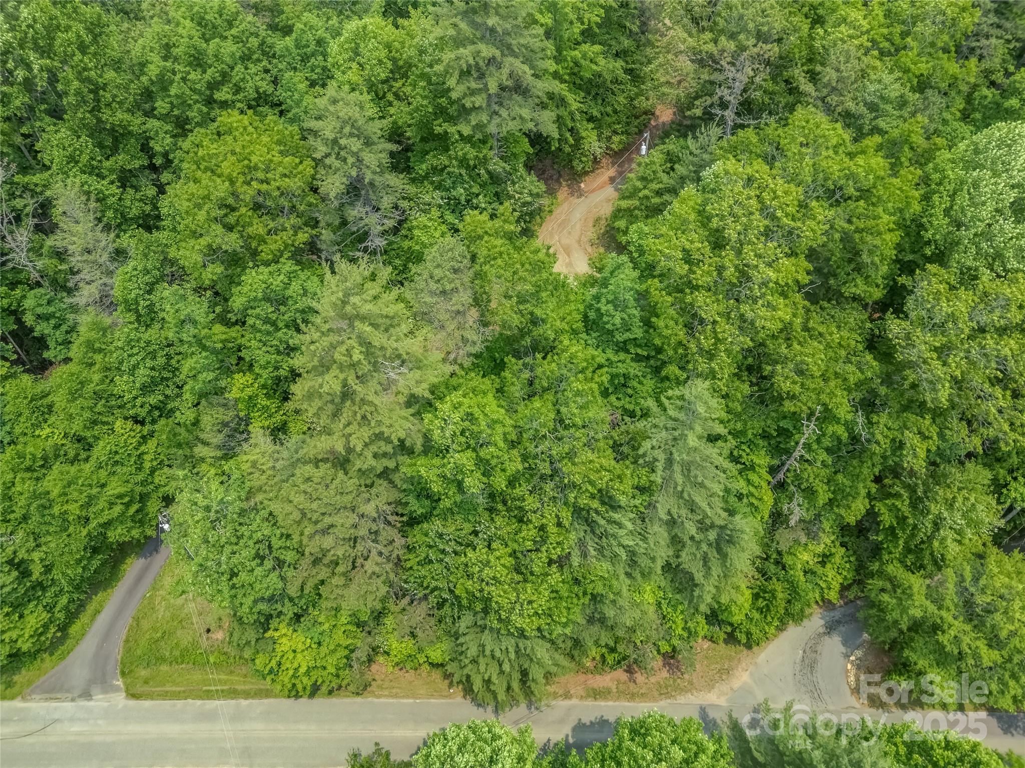 0 Israel Road Brevard, NC 28712 - Photo 8 of 17