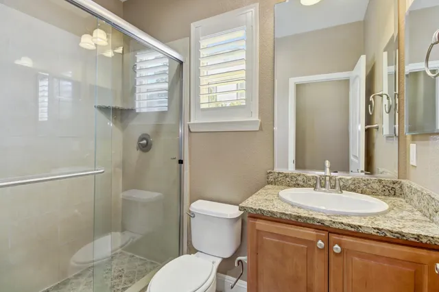 a view of a yard with palm trees