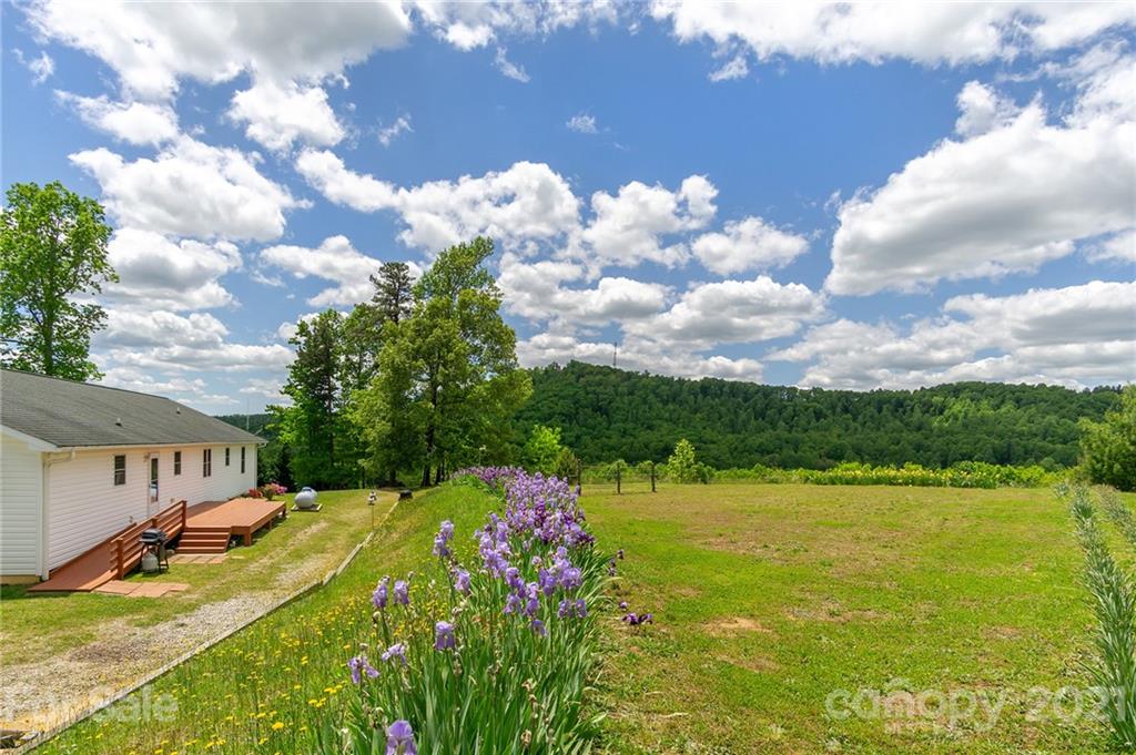 116 Kay Road Flat Rock, NC 28731 - Photo 29 of 36 a view of a house with a yard