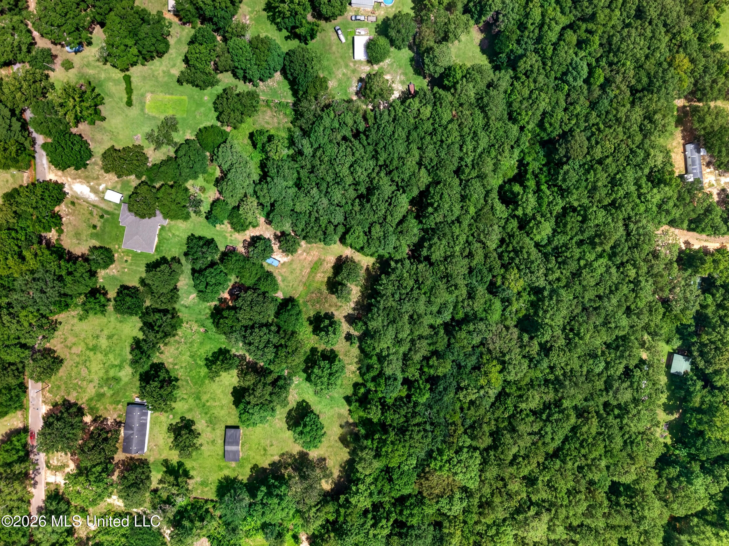 23 Hubert Spiers Road Carriere, MS 39426 - Photo 56 of 63 55_property_overhead