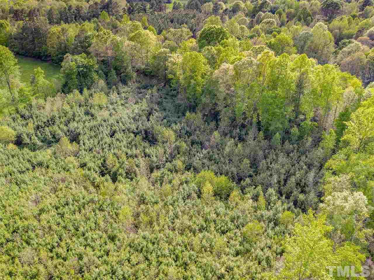 0 Gilliland Road Bennett, NC 27208 - Photo 11 of 20