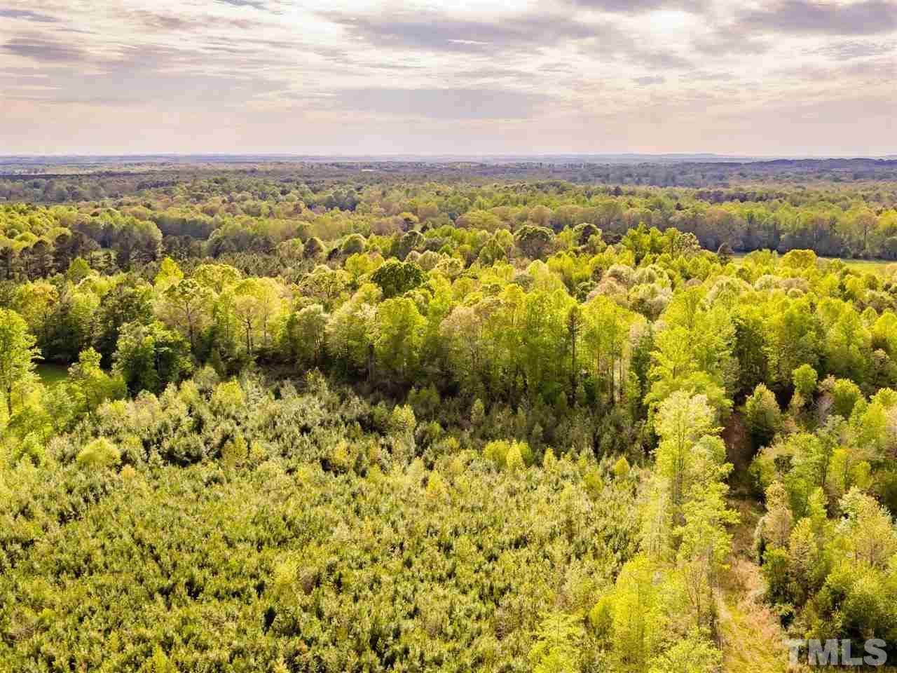 0 Gilliland Road Bennett, NC 27208 - Photo 12 of 20