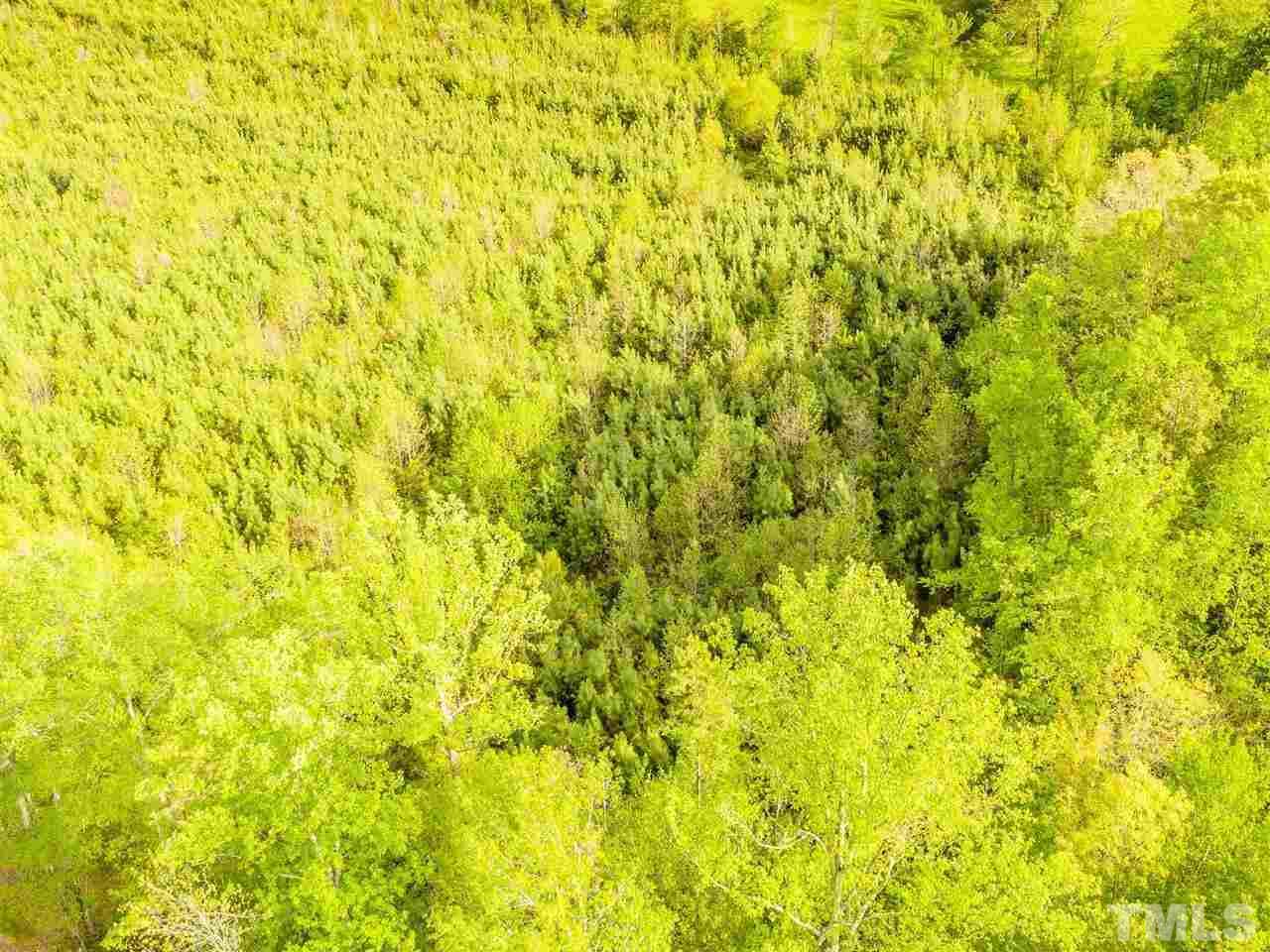 0 Gilliland Road Bennett, NC 27208 - Photo 13 of 20