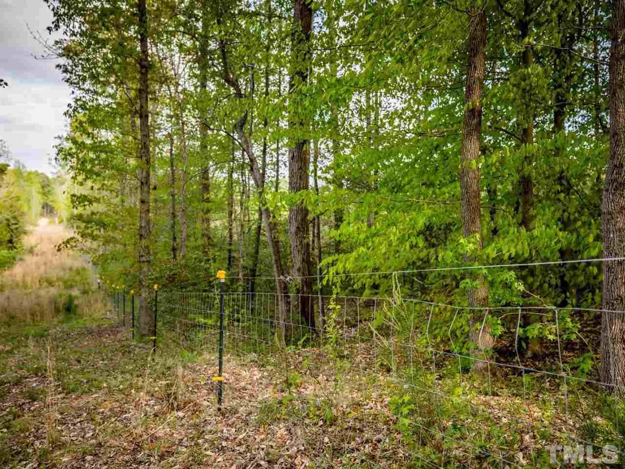 0 Gilliland Road Bennett, NC 27208 - Photo 14 of 20