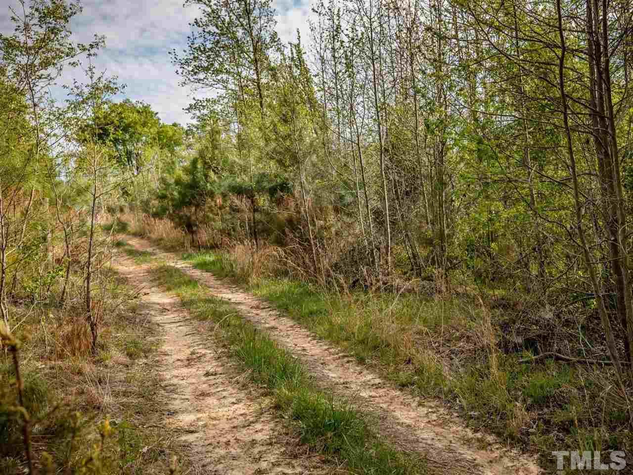 0 Gilliland Road Bennett, NC 27208 - Photo 15 of 20