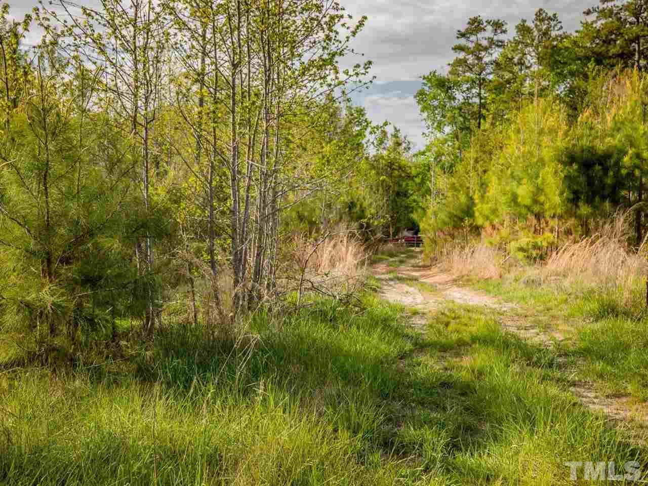 0 Gilliland Road Bennett, NC 27208 - Photo 16 of 20