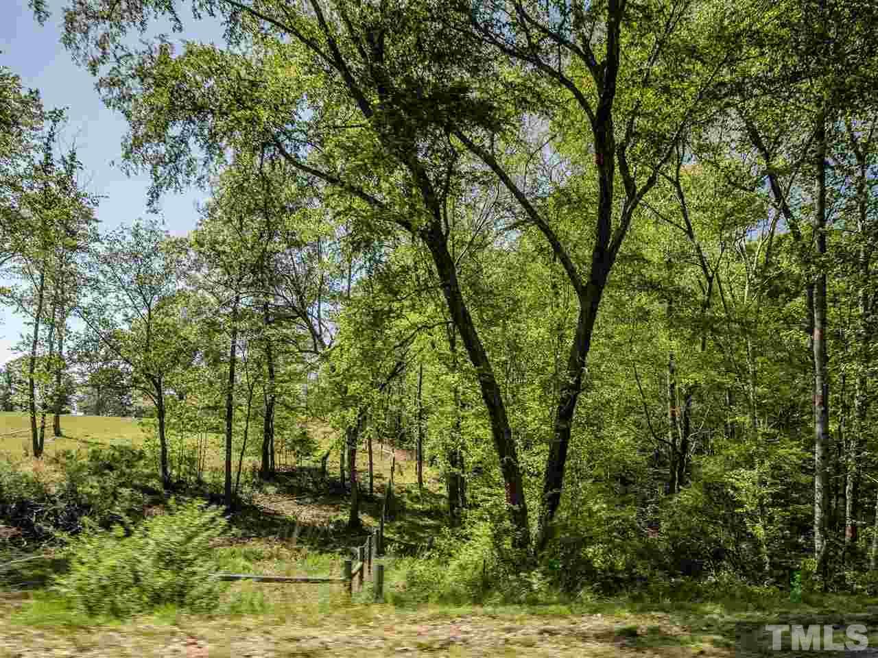 0 Gilliland Road Bennett, NC 27208 - Photo 17 of 20