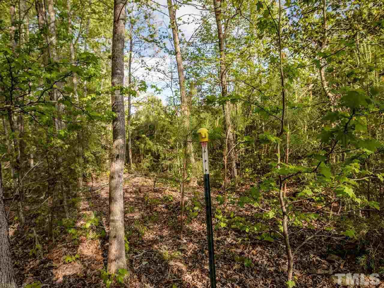 0 Gilliland Road Bennett, NC 27208 - Photo 20 of 20