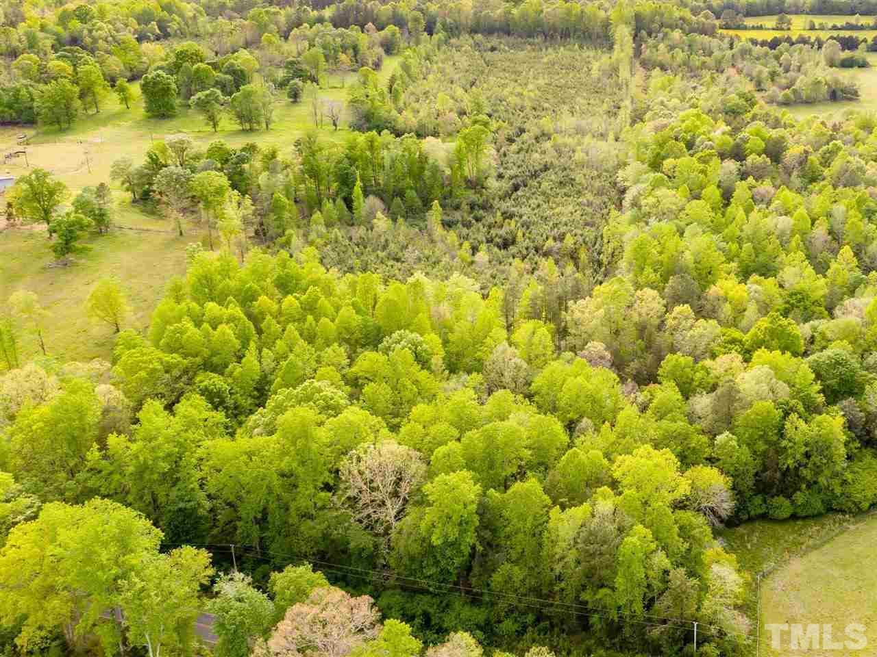 0 Gilliland Road Bennett, NC 27208 - Photo 3 of 20