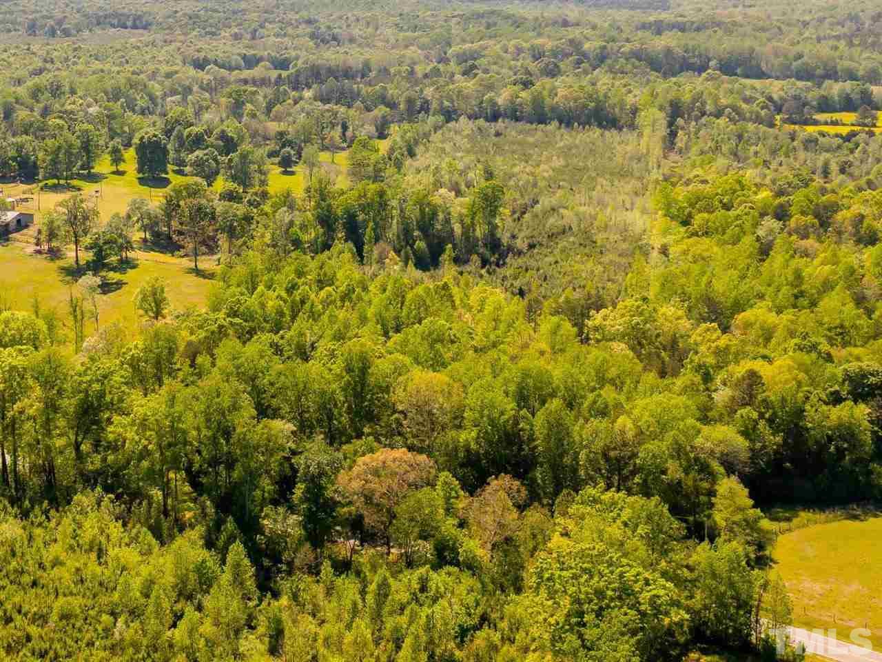 0 Gilliland Road Bennett, NC 27208 - Photo 6 of 20