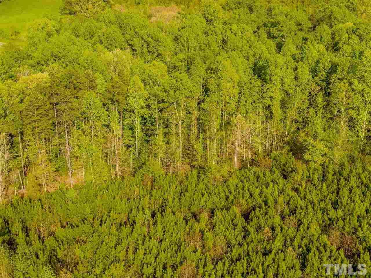0 Gilliland Road Bennett, NC 27208 - Photo 9 of 20