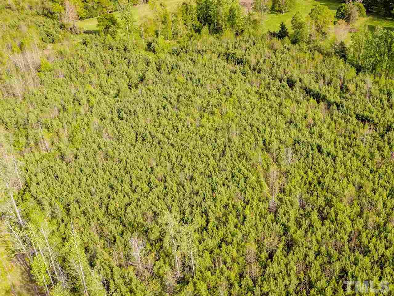0 Gilliland Road Bennett, NC 27208 - Photo 10 of 20