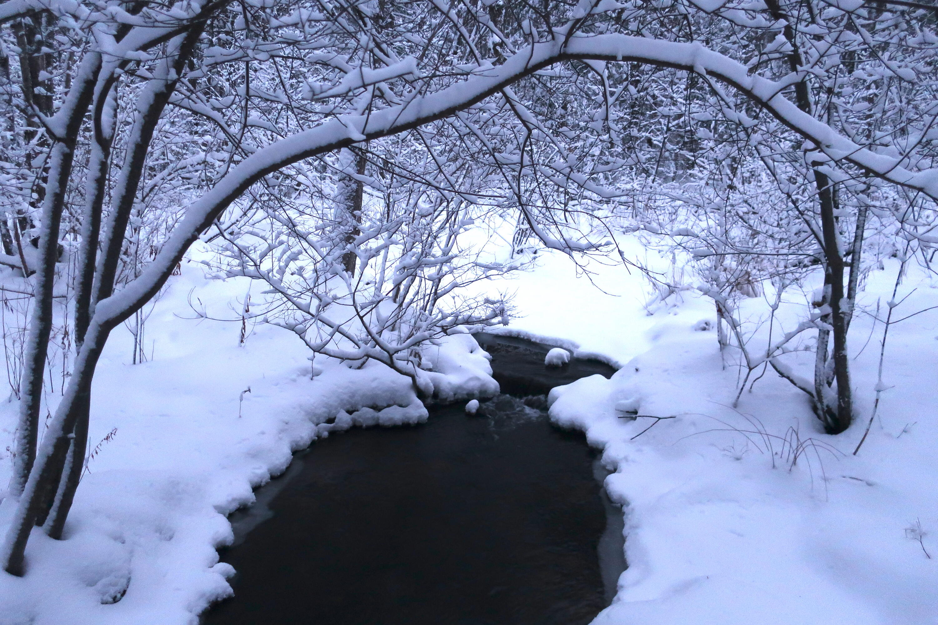 721 Hallowell Road Pownal, ME 04069 - Photo 32 of 35 winter woodlands wonderland