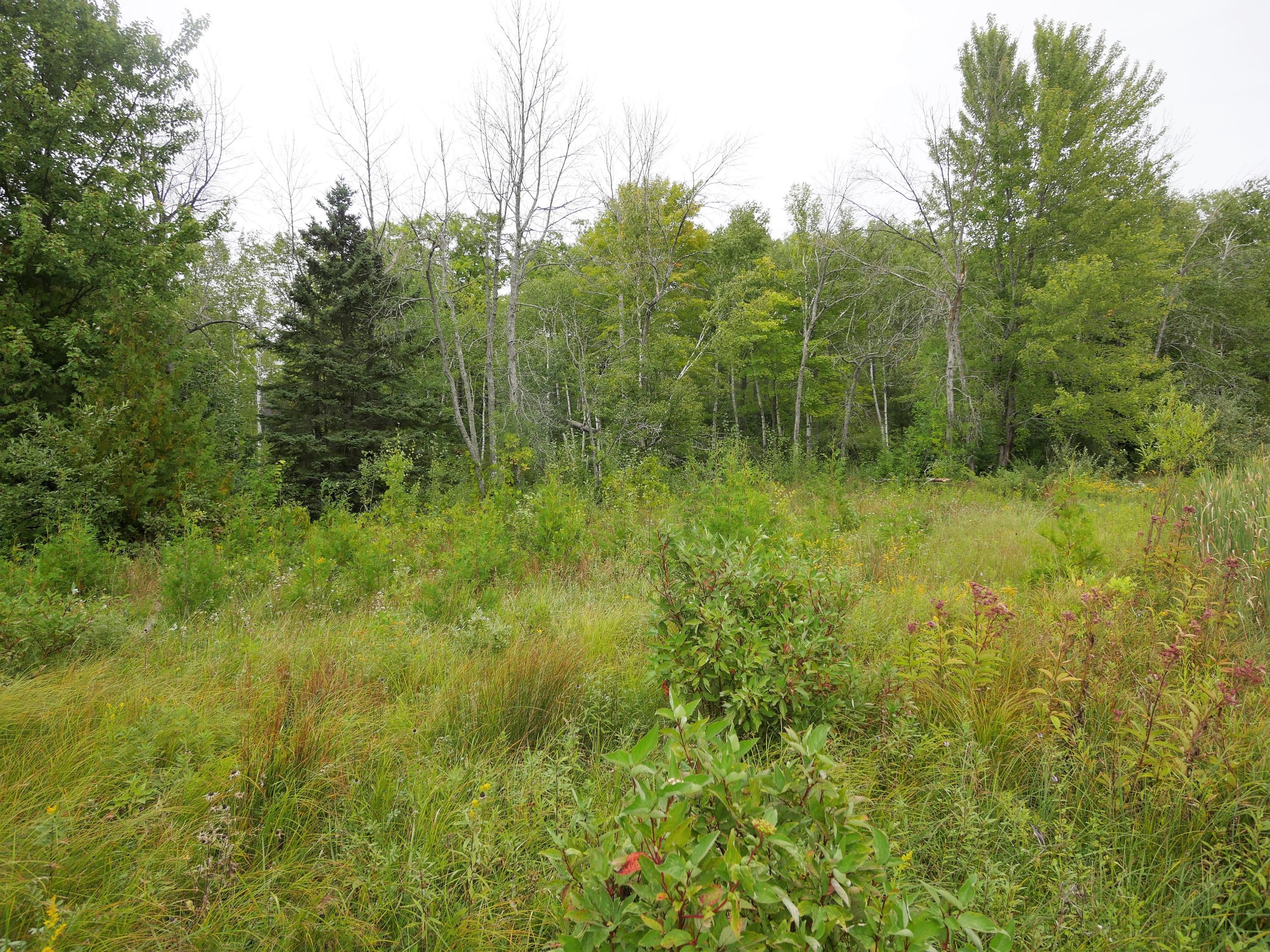 10074 Whiskey Point Road Presque Isle, MI 49777 - Photo 23 of 28 Gallery Image 23