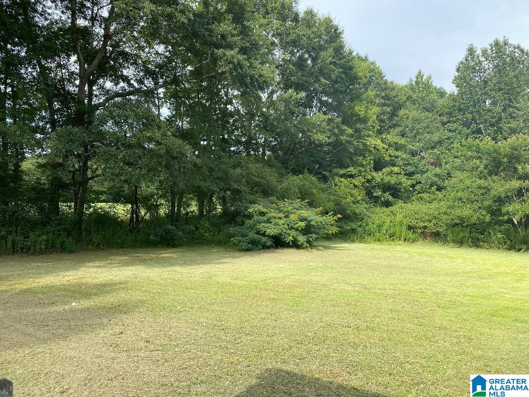126 Sanders Road Jasper, AL 35504 - Photo 29 of 31