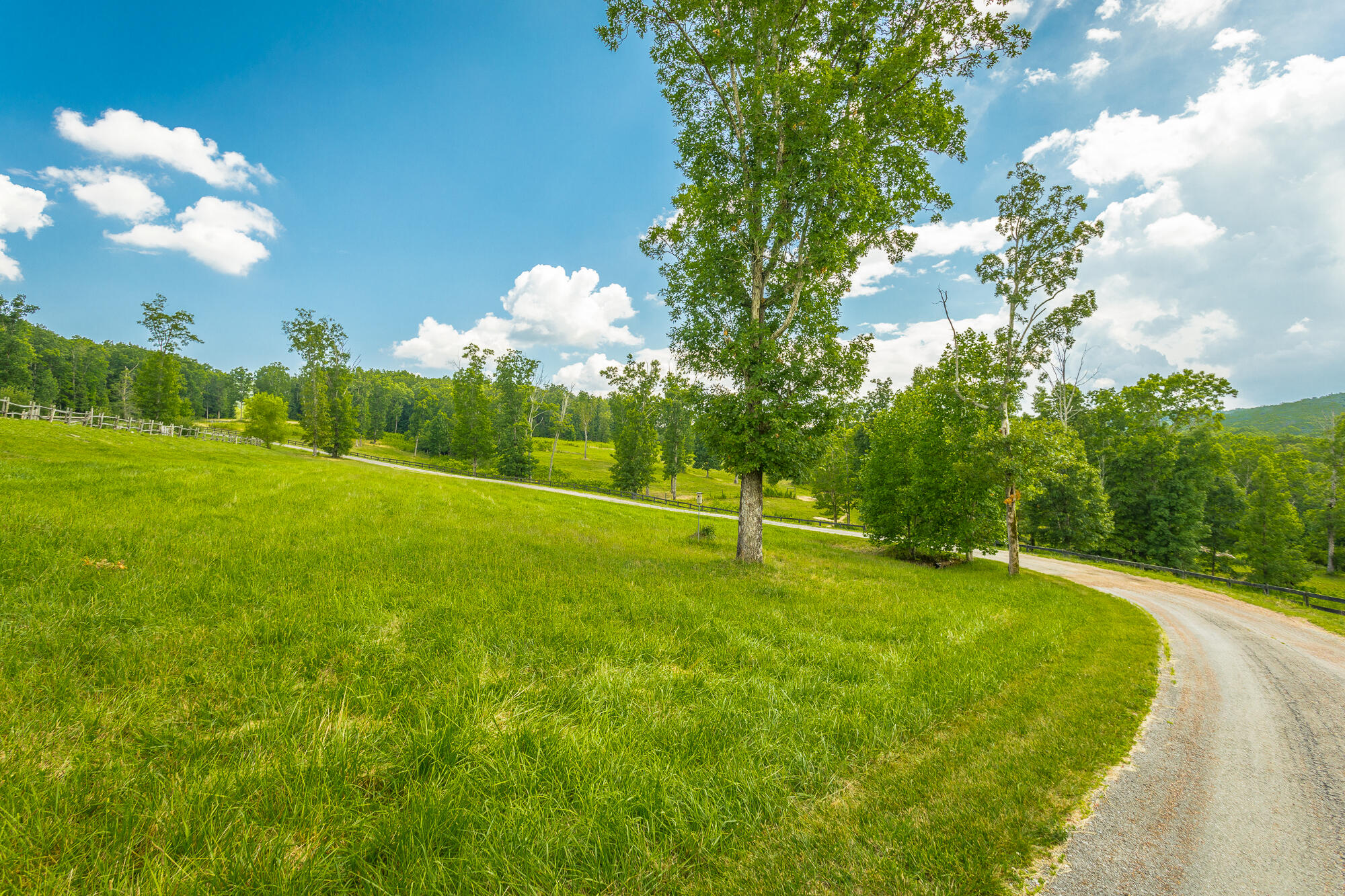 0 Long Branch Road, Unit LOT 16 Rising Fawn, GA 30738 - Photo 11 of 11 Long Branch I HD-39