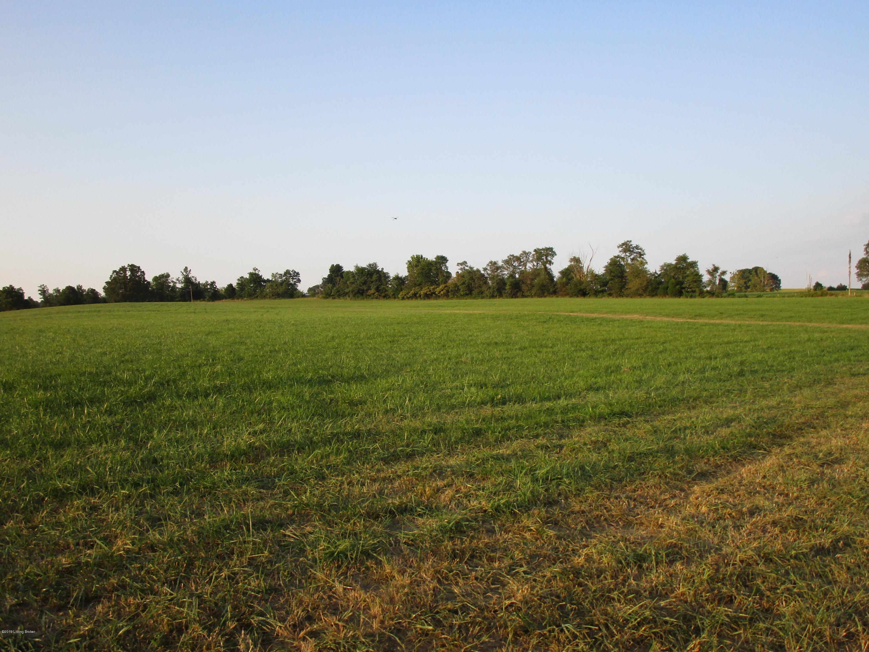 1171 Post-Hopewell Road Caneyville, KY 42721 - Photo 33 of 55 IMG_0170