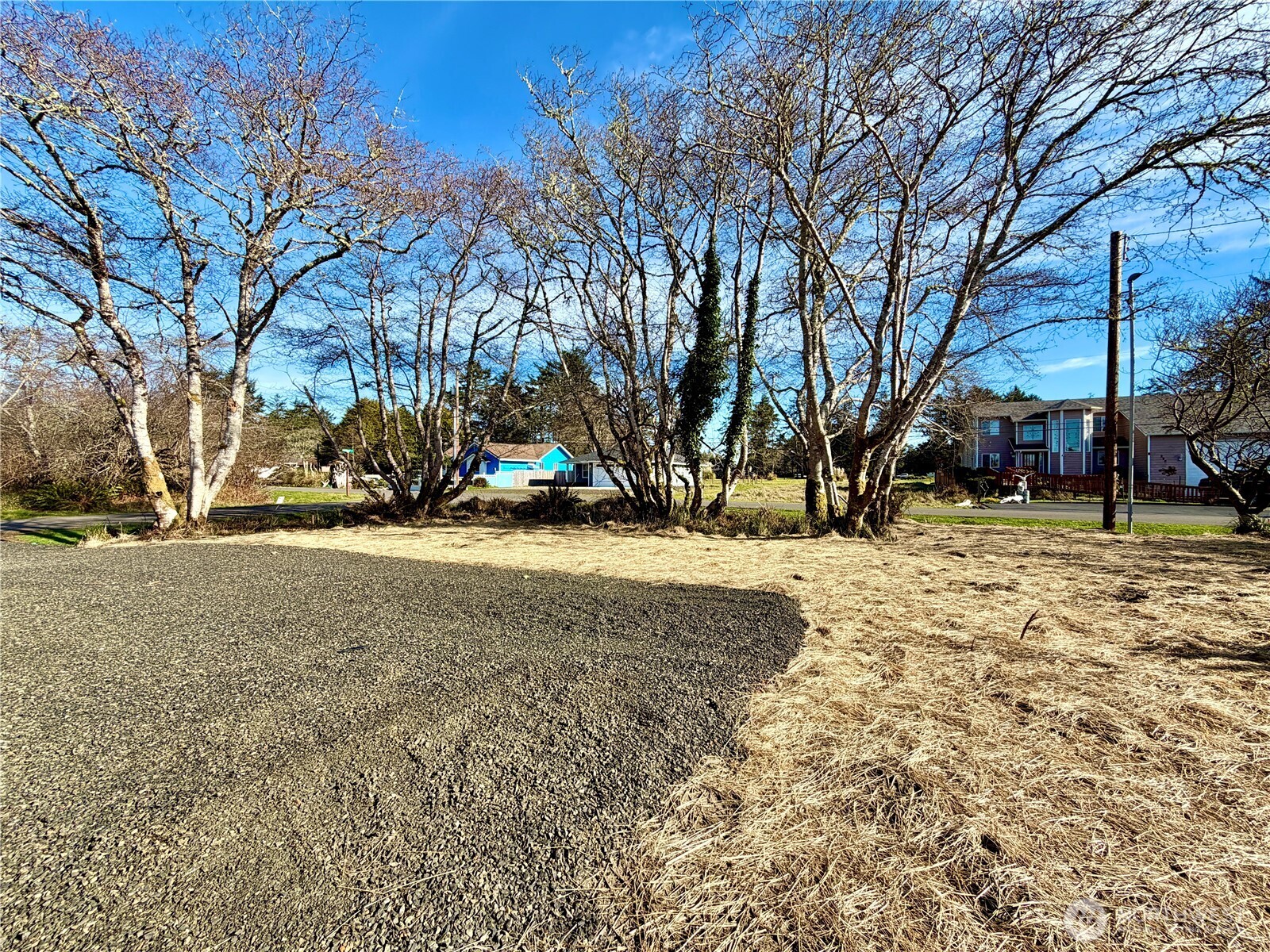 299 Octopus Avenue Northeast Ocean Shores, WA 98569 - Photo 31 of 40 a view of yard covered with snow