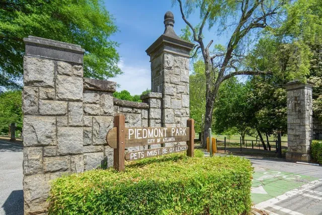 a view of a yard with plants and trees
