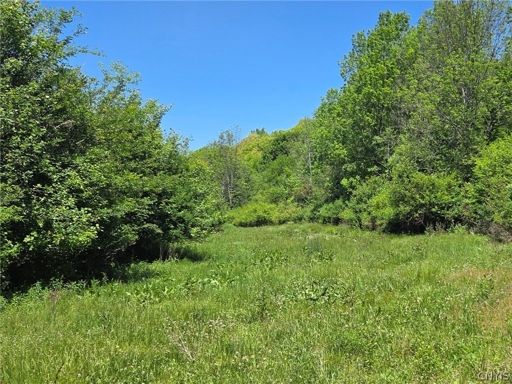 Lillibridge Road Olean, NY 14760 - Photo 15 of 48