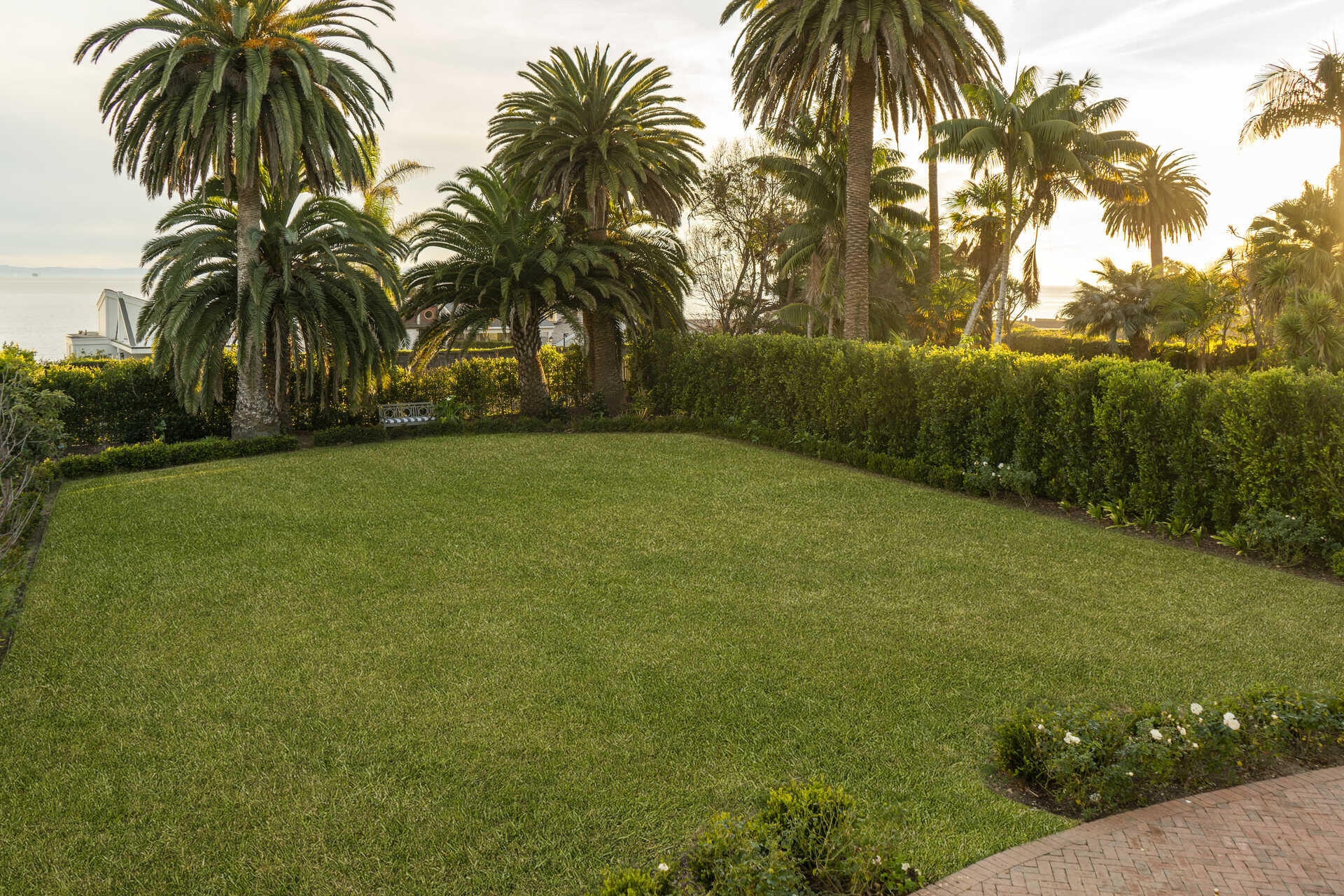 60 Miramar Avenue Montecito, CA 93108 - Photo 17 of 30 a view of a yard with palm trees