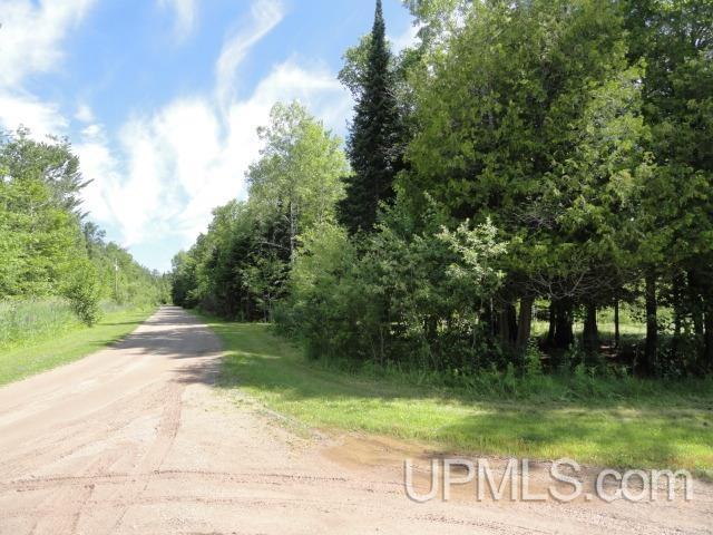 Tbd Puuri Road Baraga, MI 49908 - Photo 20 of 20