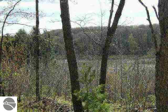 47 47 3/4 Road Boon, MI 49618 - Photo 2 of 5 1633703-1.JPG