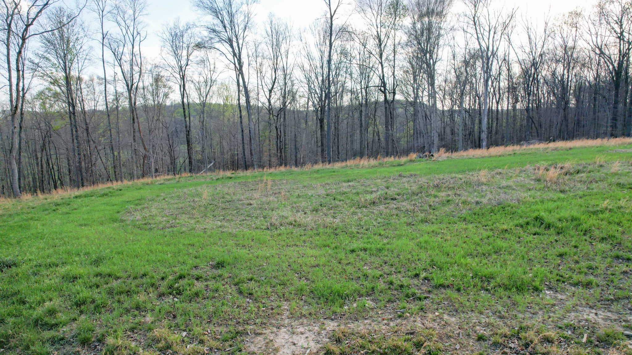 0 Bell Hollow Road Vanleer, TN 37181 - Photo 23 of 31 Gallery Image 23