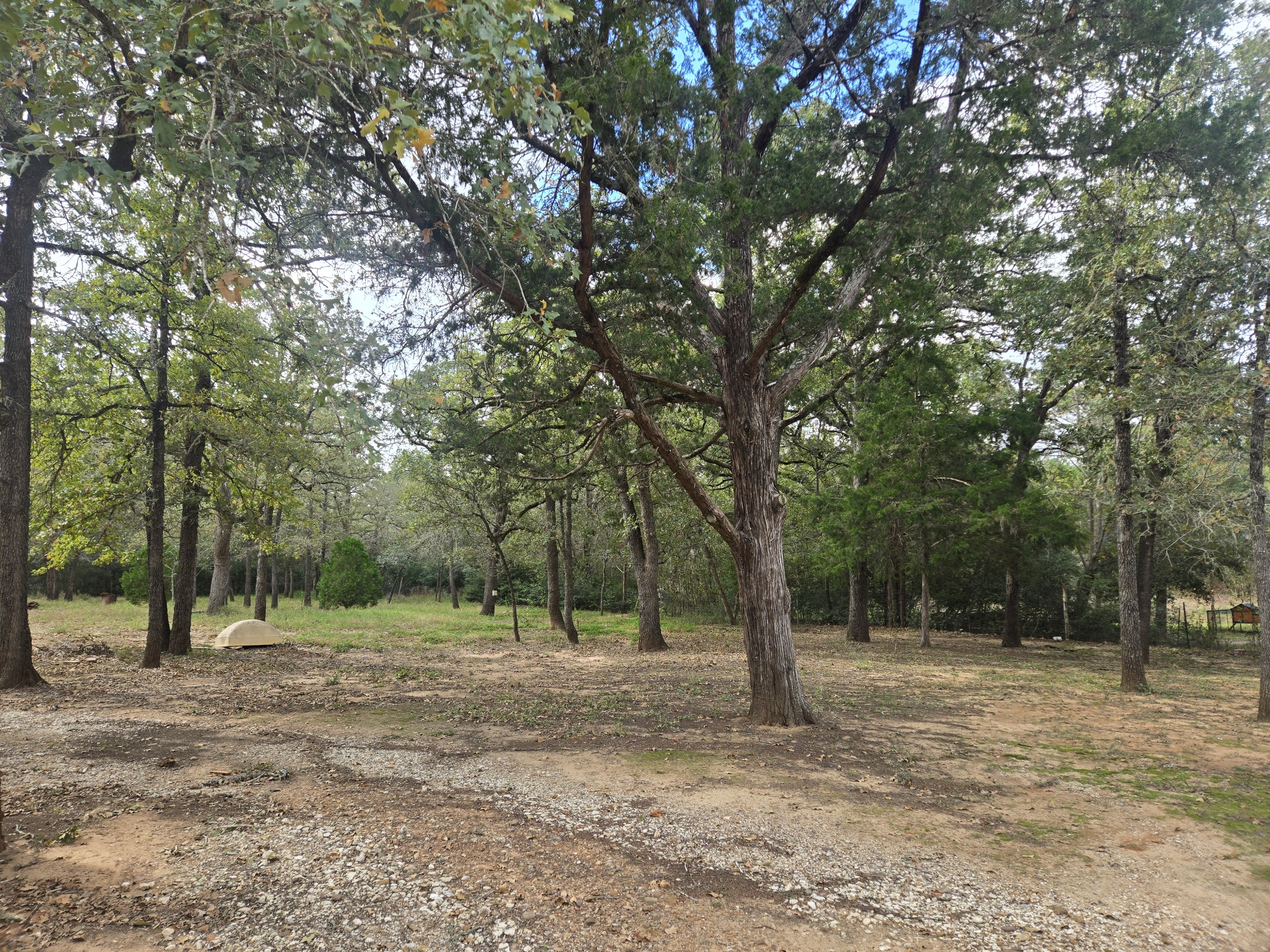 147 Sunset Heights Bastrop, TX 78602 - Photo 6 of 20 a view of outdoor space with trees