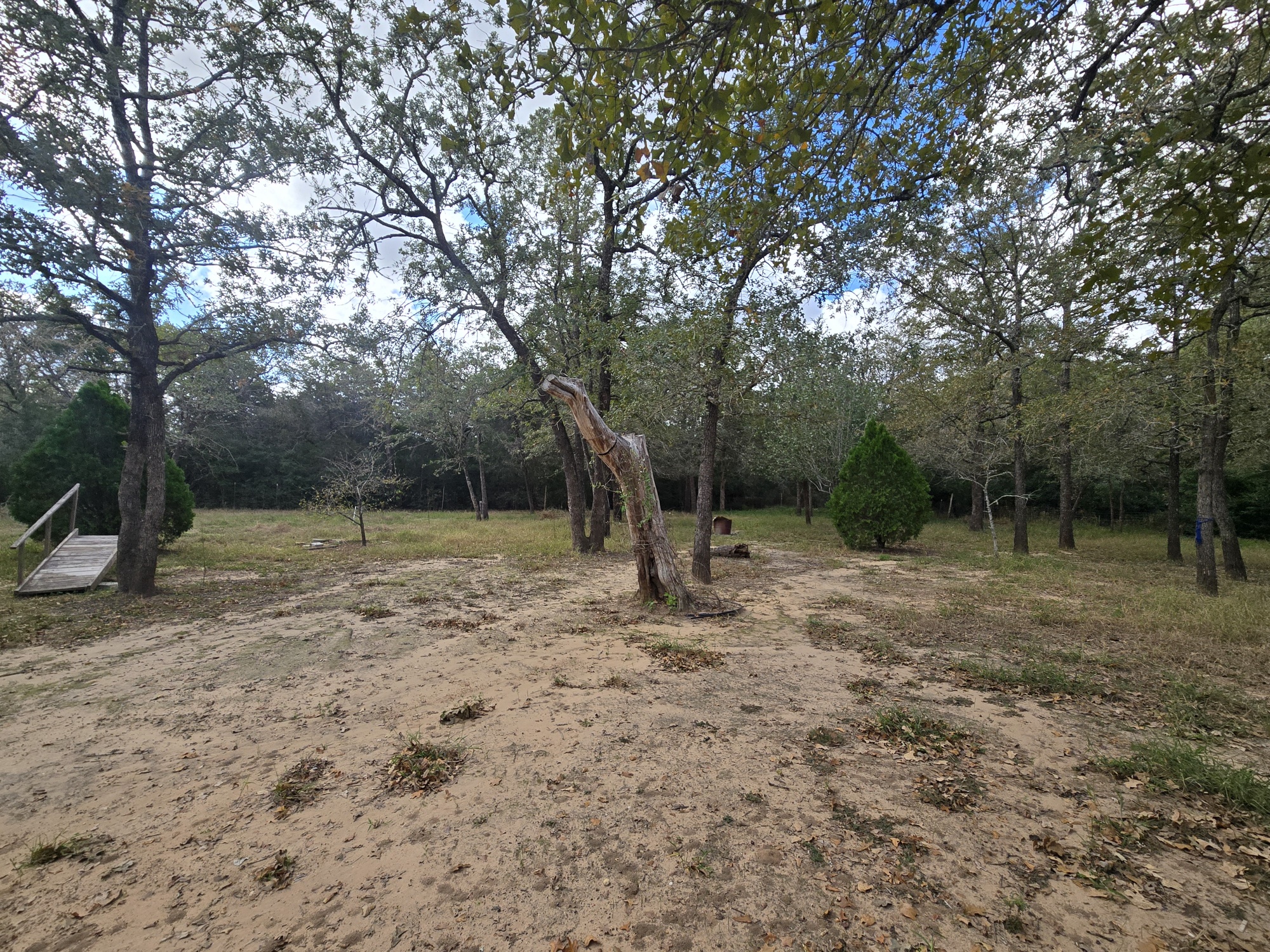 147 Sunset Heights Bastrop, TX 78602 - Photo 9 of 20 a view of a yard with a tree