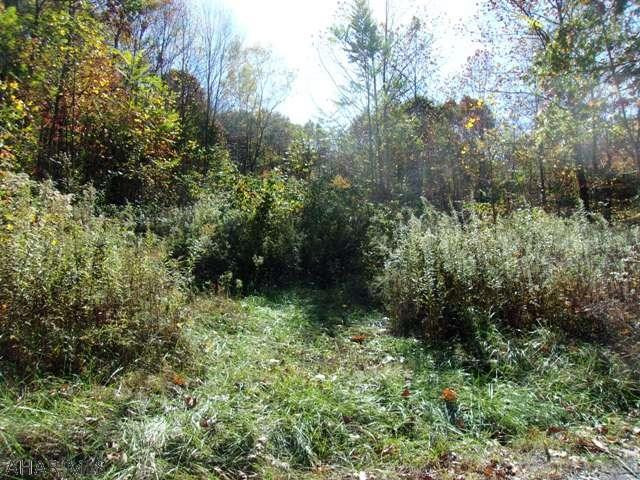 0 Blankley Road Bedford, PA 15522 - Photo 5 of 6